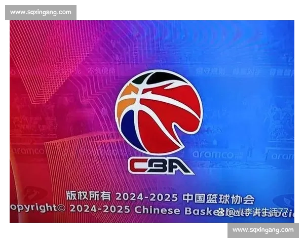辽宁对阵贵州比分焦点战回顾与赛场表现全面解析与走势观察